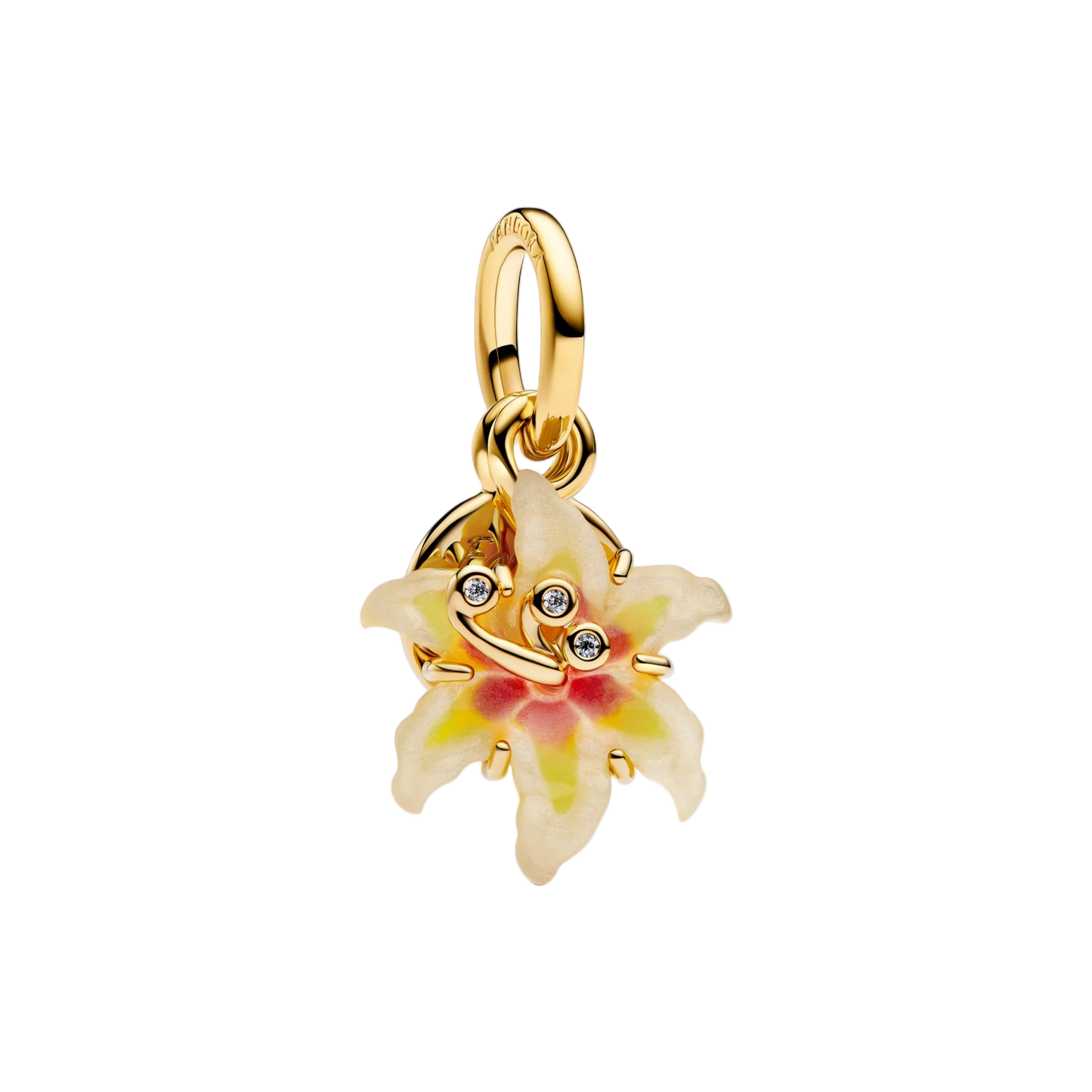 Charm Raiponce Pascale